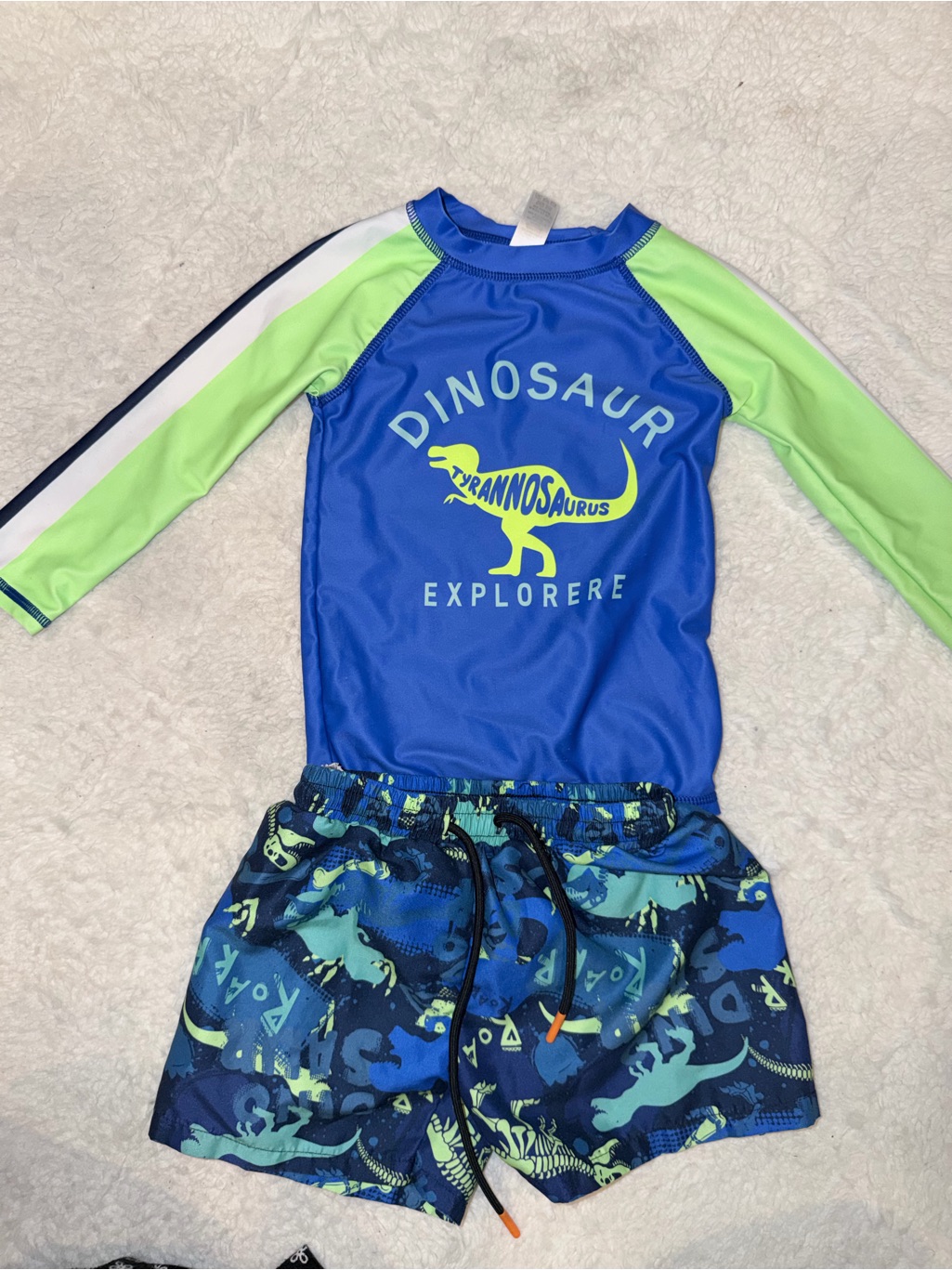 Dinosaur Rash Guard Swim Set 12-18m